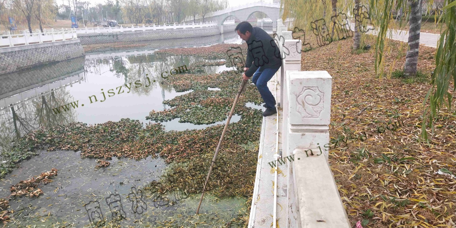 河道起点处2.jpg 河道起点处2.jpg