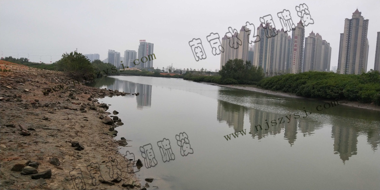 涨潮海水逆流入冯家江2.jpg 涨潮海水逆流入冯家江2.jpg